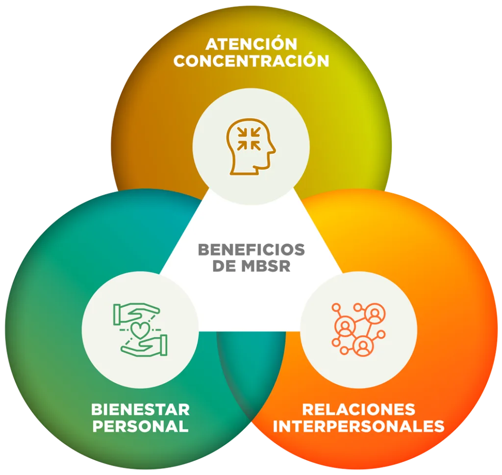 Instituto esMindfulness