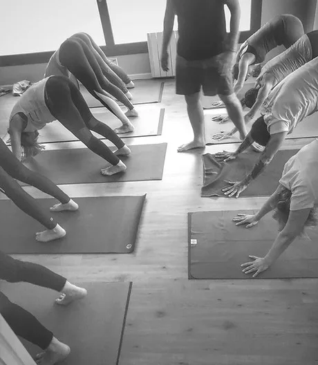 Surya Yoga Shala