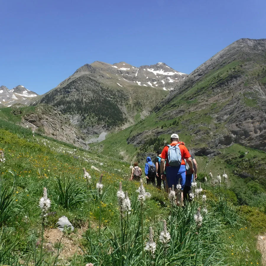 Tourtrek