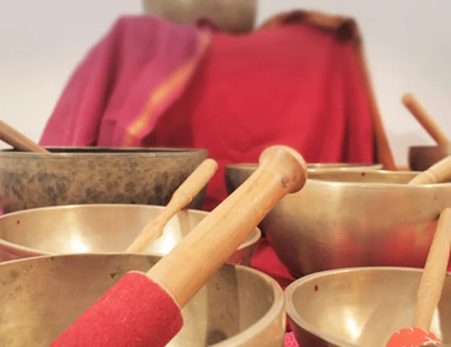 Vidya Yoga Meditación
